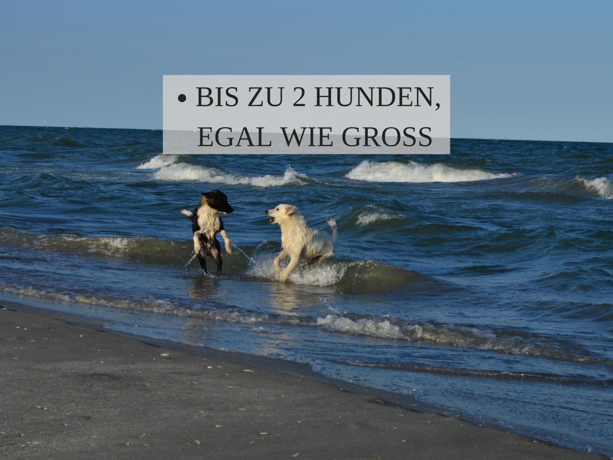 Haus Krabbe, Apartment 10, Naehe Bremerhaven, Fuer 1-2 Personen, 2 Schlafzimmer, Einzelbetten, Zweite Etage, Zentral Gelegen, Bis Zu 2 Hunden Kostenfrei Willkommen Wremen Zewnętrze zdjęcie